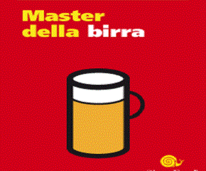 Master Birra