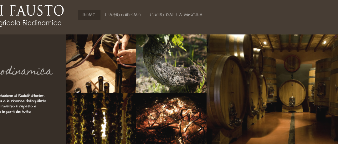 Visita guidata e degustazione all’Azienda Agricola Andi Fausto